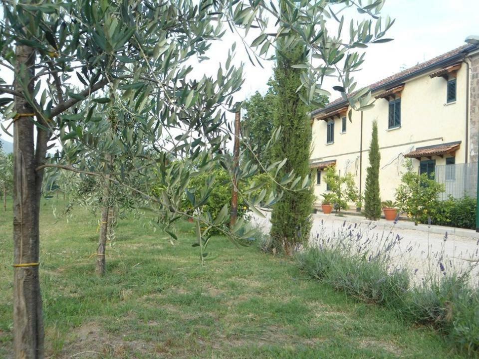 Bed and Breakfast Nenna Country à Capua Extérieur photo