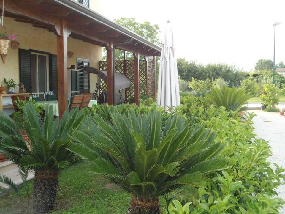 Bed and Breakfast Nenna Country à Capua Extérieur photo